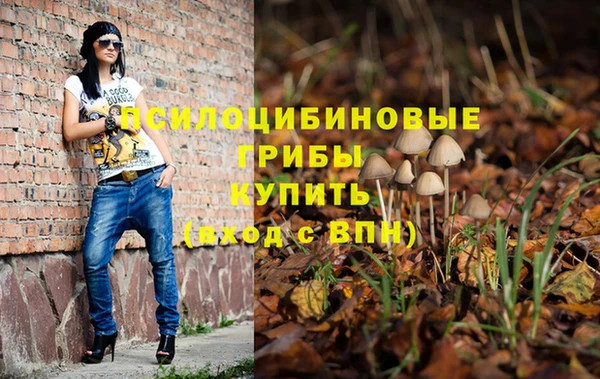 PSILOCYBIN Белоозёрский