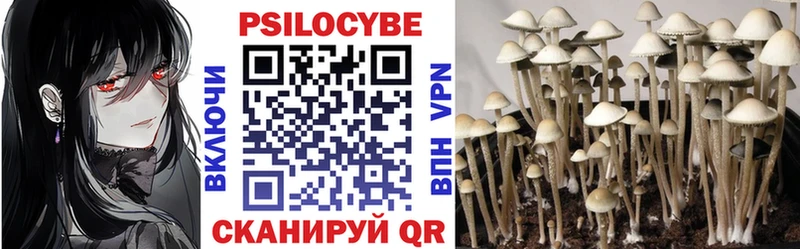 Галлюциногенные грибы Cubensis  Котельники 